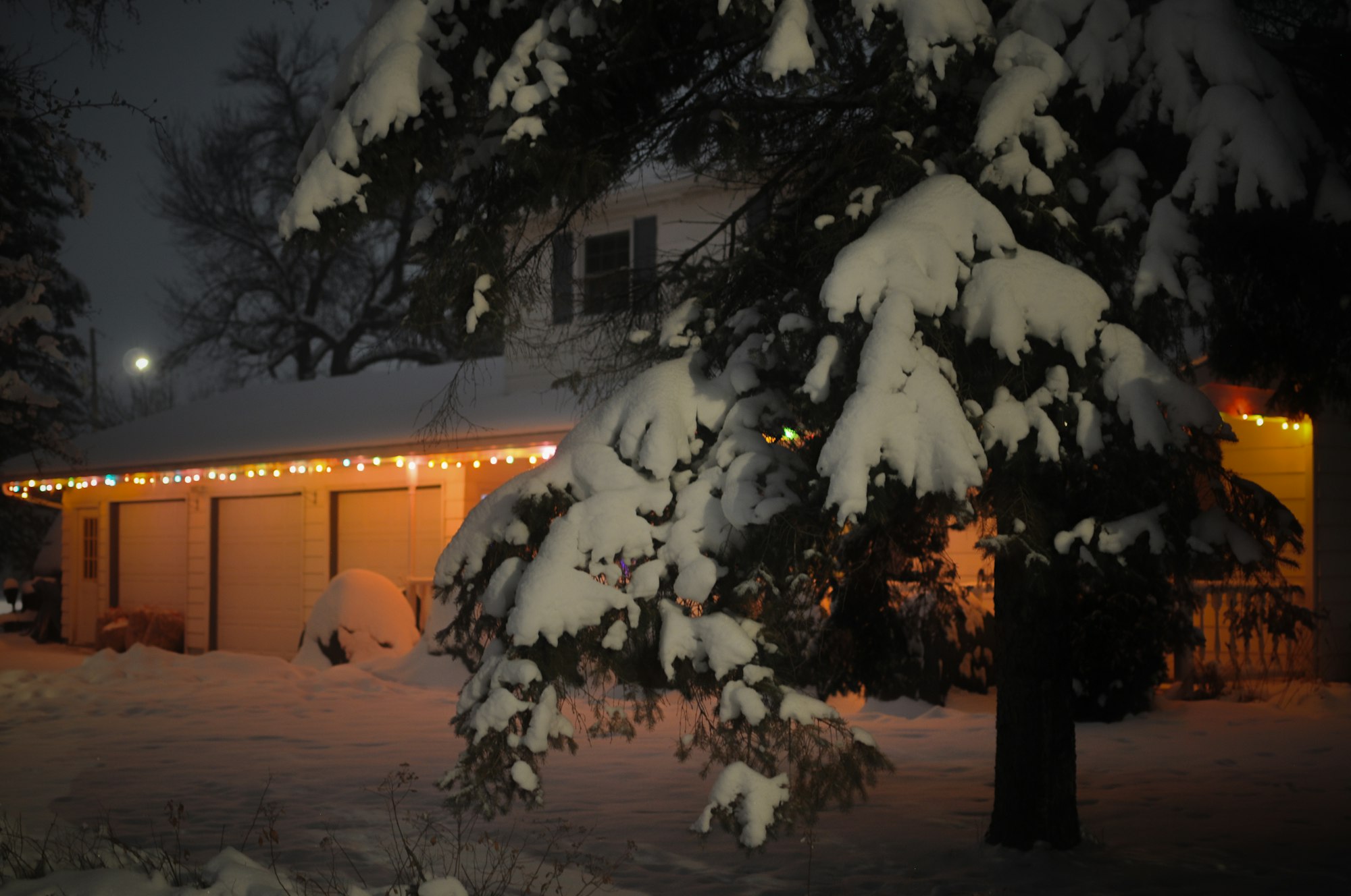 Snowy front yard with roofline lights over the garage